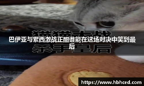 suncitygroup太阳新城网址